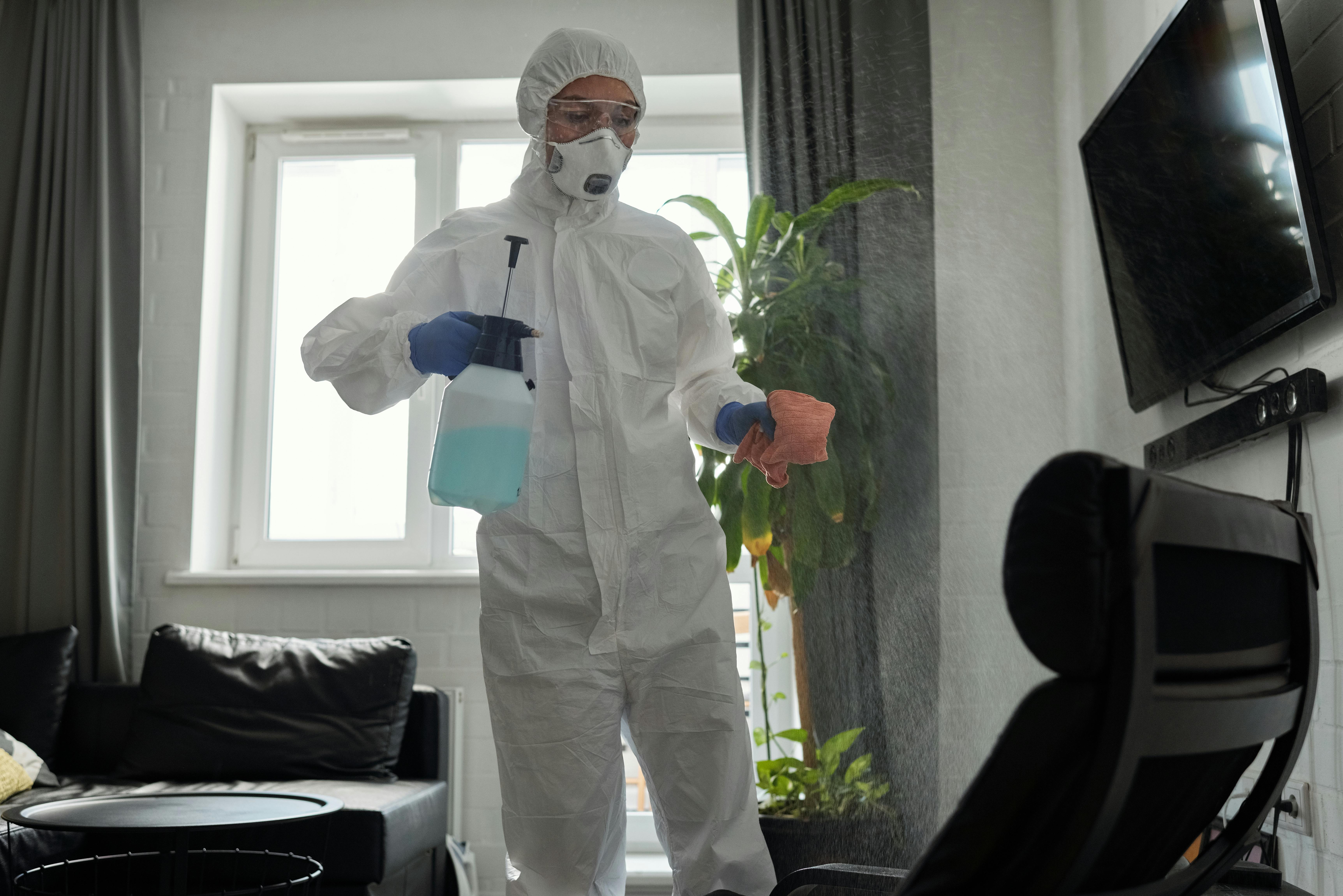 Bed bugs control services in dhaka